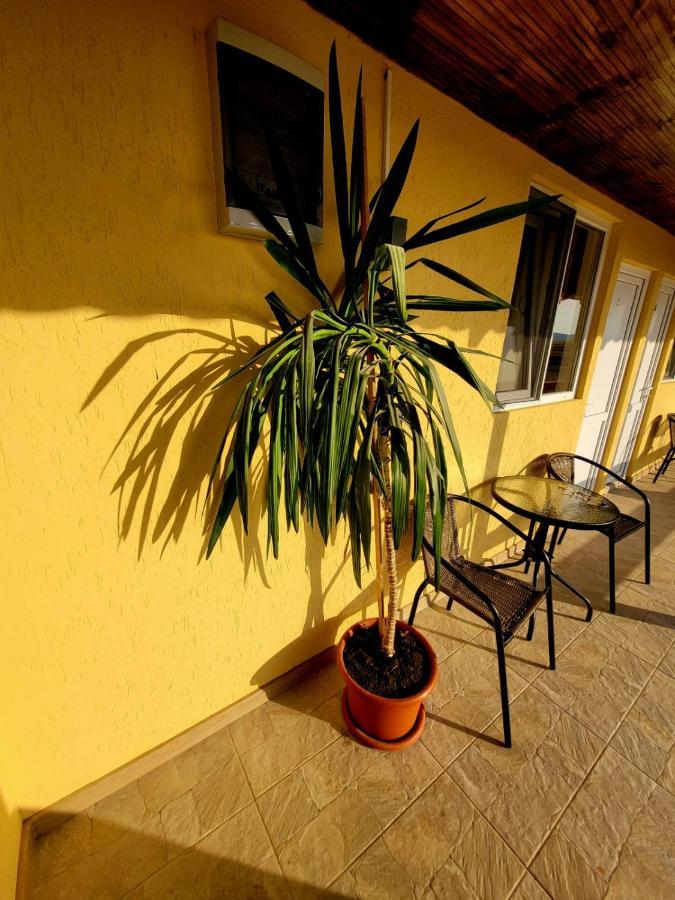 Cabana Varad Coronini Moldova Veche Εξωτερικό φωτογραφία