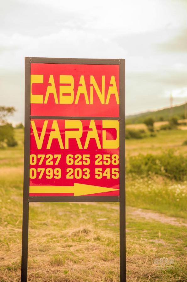 Cabana Varad Coronini Moldova Veche Εξωτερικό φωτογραφία